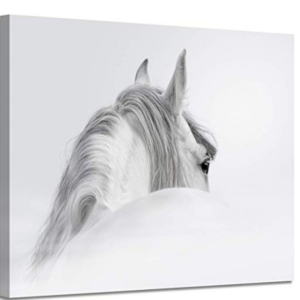 office horse canvas