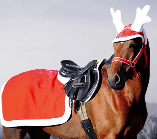 equestrian gift guide