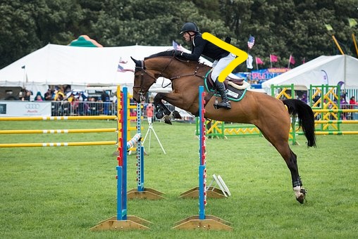 horse jumping, jumping tips